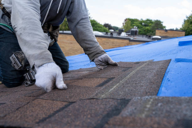 Best Commercial Roofing Services  in Kentland, IN